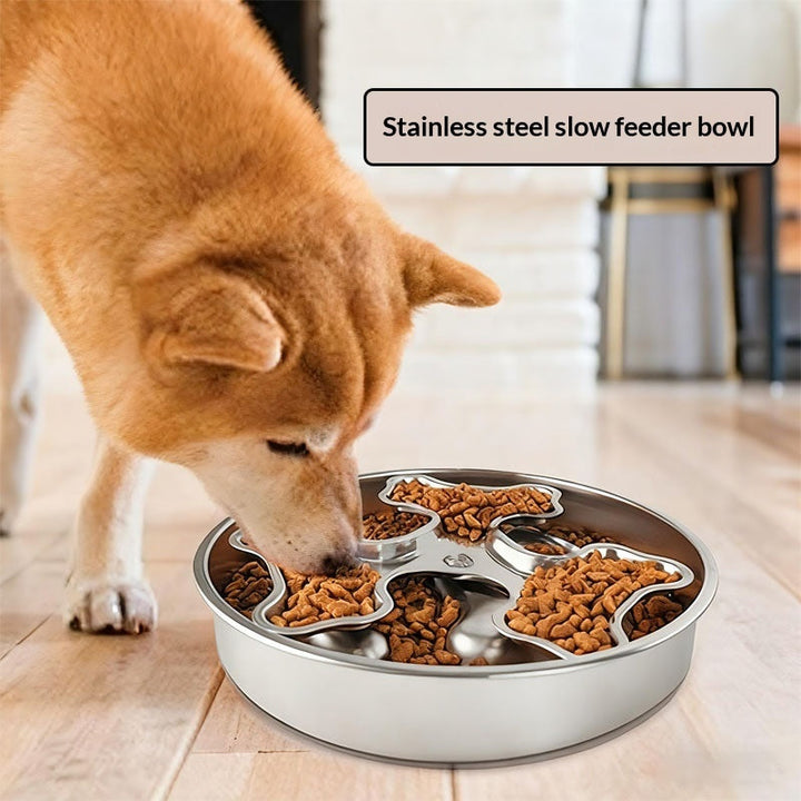 Why Our Rotating Stainless Steel Pet Bowl is a Game Changer for Pet Owners