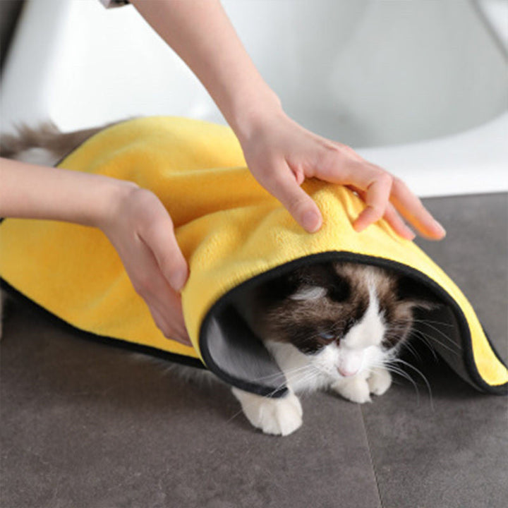 Discover the Ultimate Bath Experience for Your Furry Friend