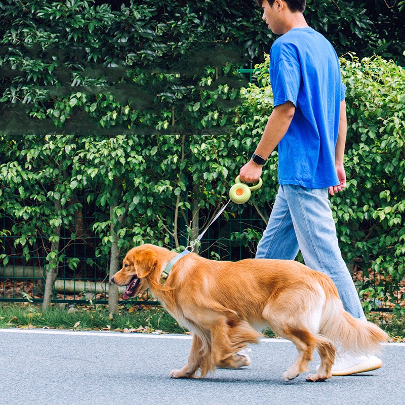 Retractable Reflective Pet Leash: Safety Meets Durability
