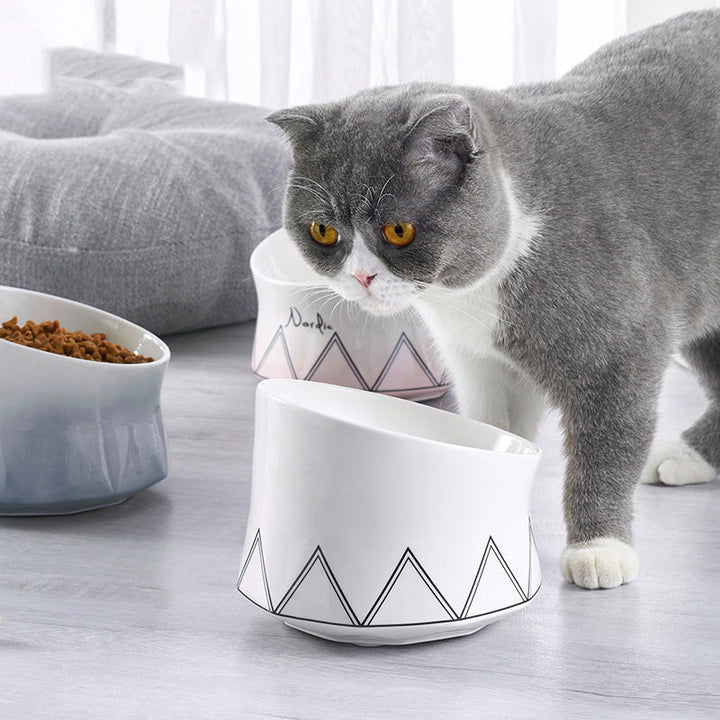 Elevate Your Pet’s Dining Experience with Our Ceramic Pet Bowl