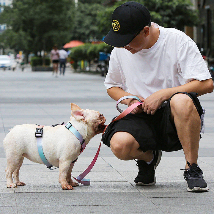 The Ultimate Adjustable Pet Leash for Your Furry Friend