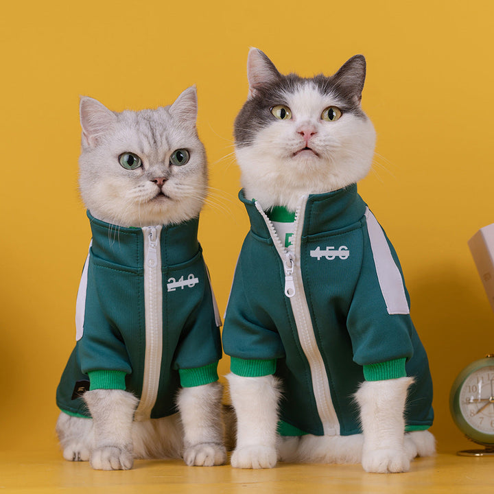 The Perfect Cozy Companion: Digital Pattern Pet Sweater Coat