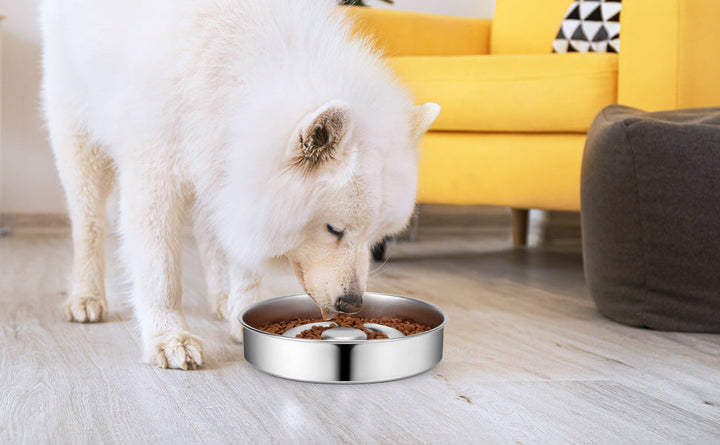 Transform Your Pet's Mealtime with Our Slow Feeding Bowl