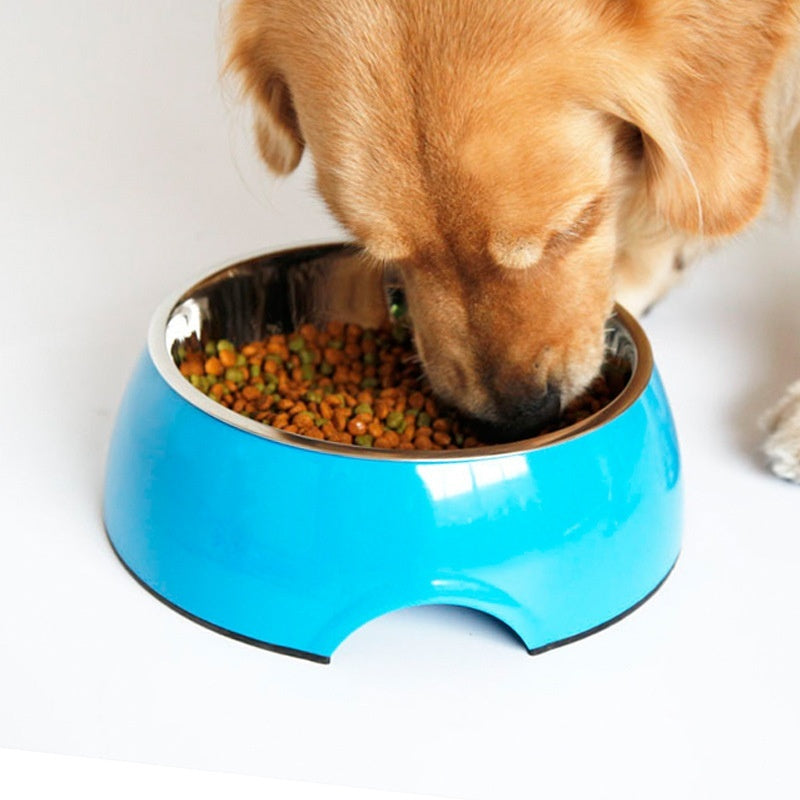 Elevate Your Pet's Dining Experience with Our Stainless Steel and Melamine Pet Bowl