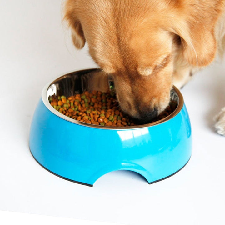 Elevate Your Pet's Dining Experience with Our Stainless Steel and Melamine Pet Bowl