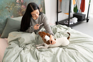 Creating a Cozy Sleeping Space for Your Pet