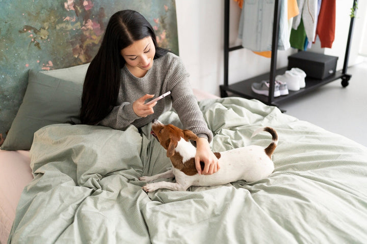 Creating a Cozy Sleeping Space for Your Pet