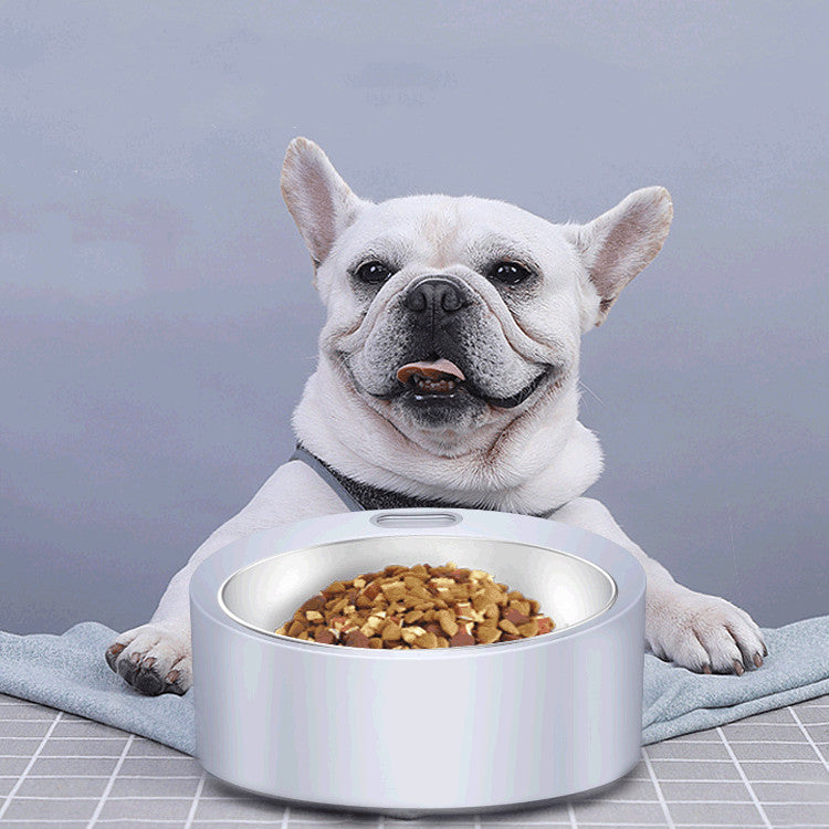 Large Capacity Pet Feeder With Detachable Stainless Steel Bowl And Scale