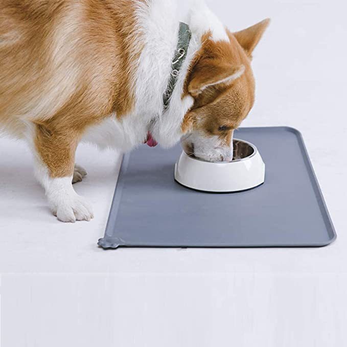 Stainless Steel Pet Feeder Durable Food And Water Bowl