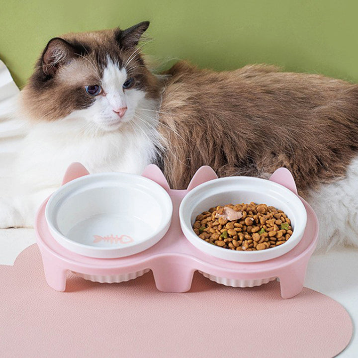 Ceramic Double Pet Bowl Tall Slanted Water And Food Dish