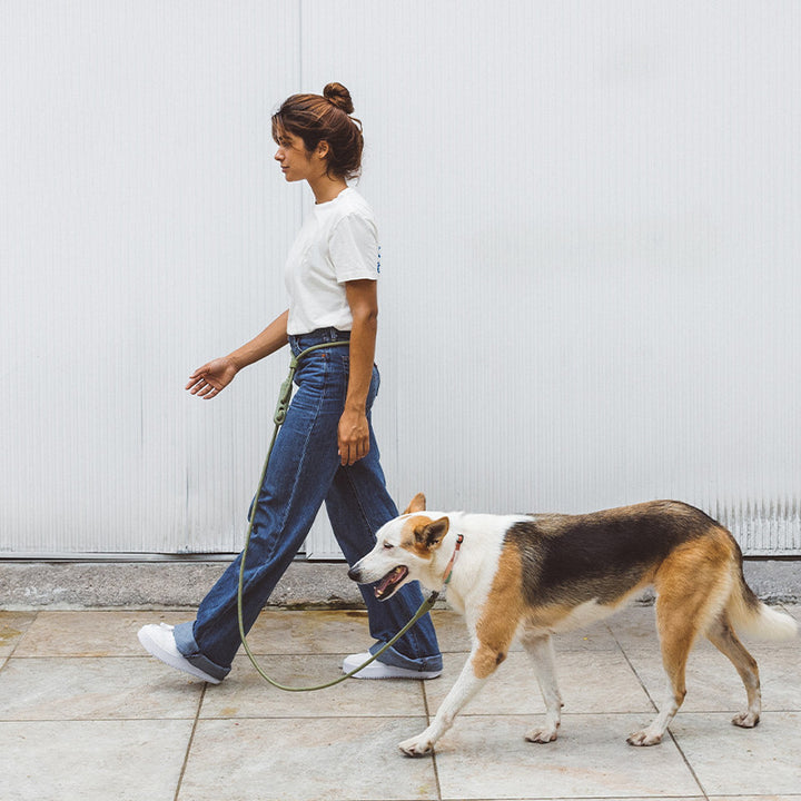 Minimalist Style Pet Slant Leash Fashionable And Durable