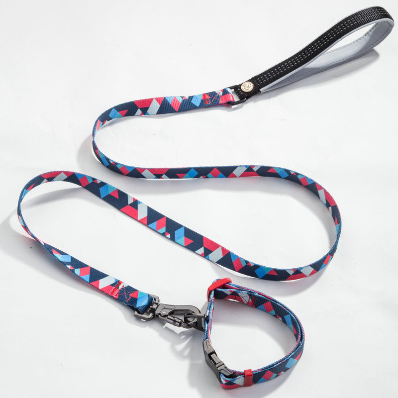 Adjustable Pet Leash And Collar Set