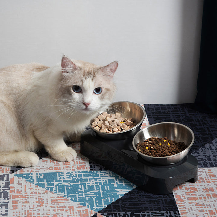 Pet Stainless Steel Double Bowl For Nighttime Feeding