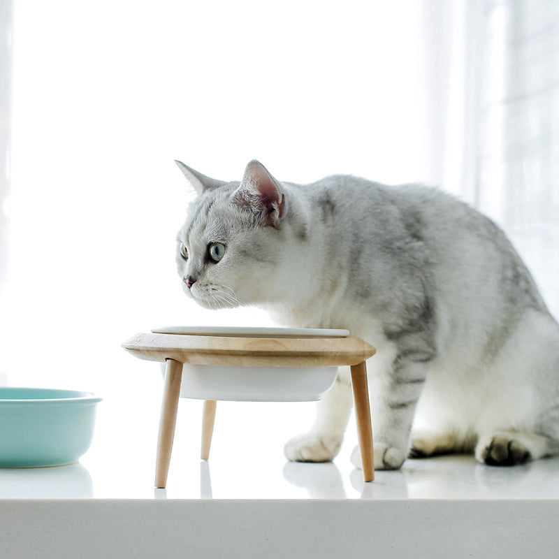 Ceramic Pet Bowl Durable Food And Water Dish