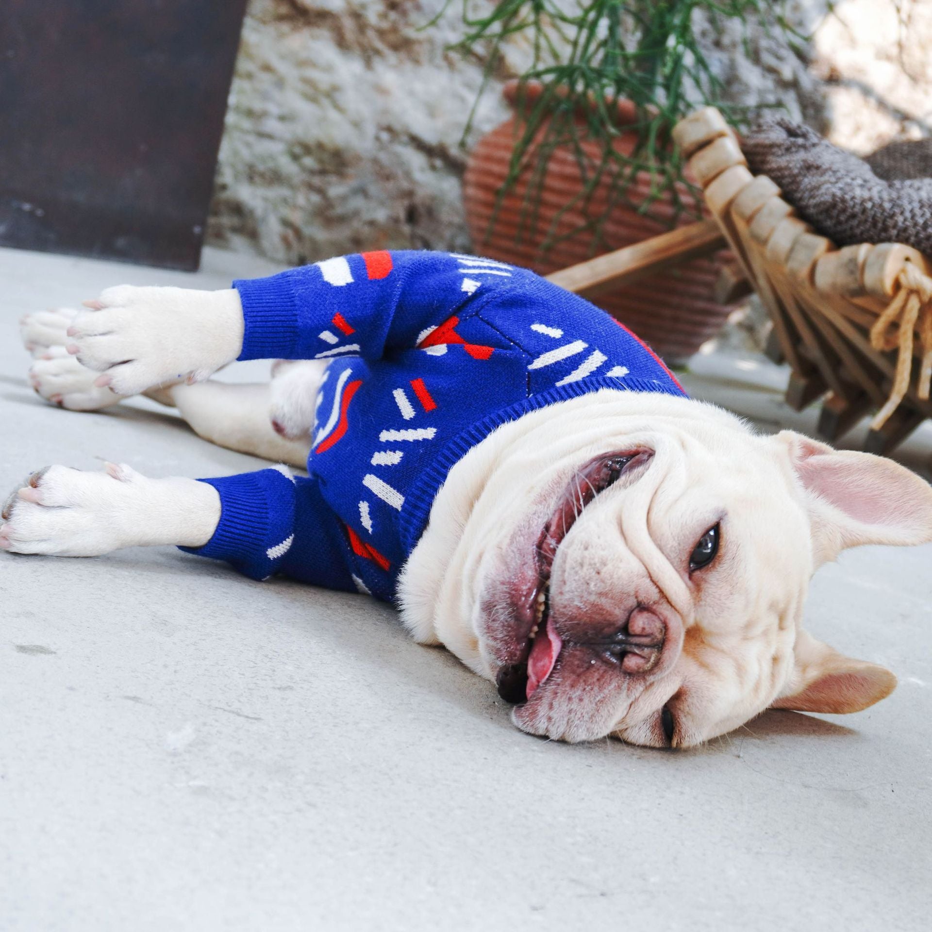 Pet Sweater Soft Comfortable Everyday Clothing For Pets