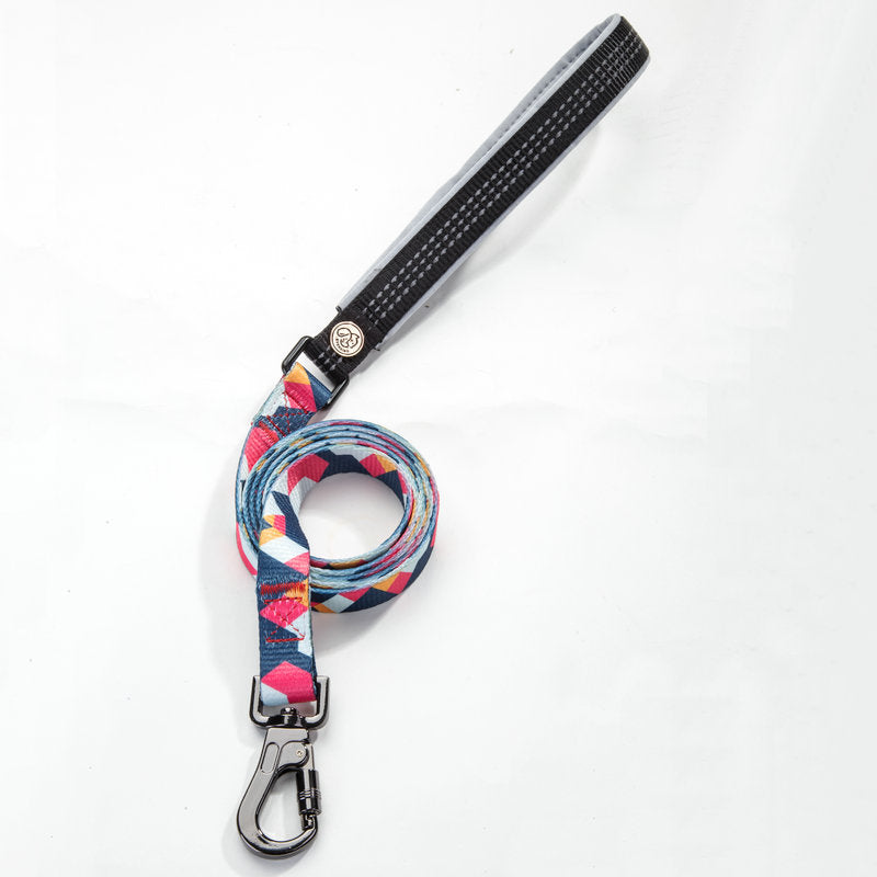 Adjustable Pet Leash And Collar Set