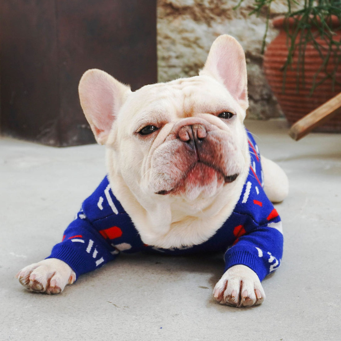 Pet Sweater Soft Comfortable Everyday Clothing For Pets