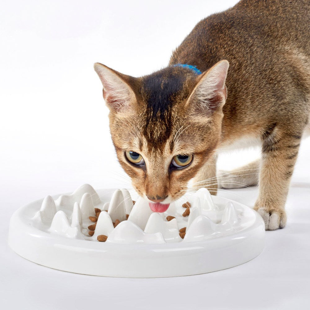 Ceramic Slow Feeding Pet Bowl For Healthy Eating