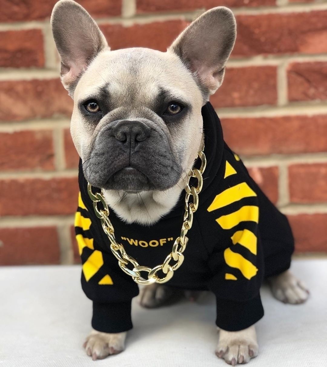 Pet Fashion Three Stripe Sports Sweater For Autumn Winter