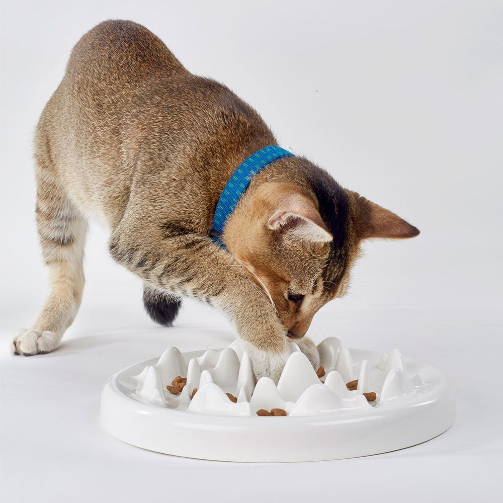 Ceramic Slow Feeding Pet Bowl For Healthy Eating