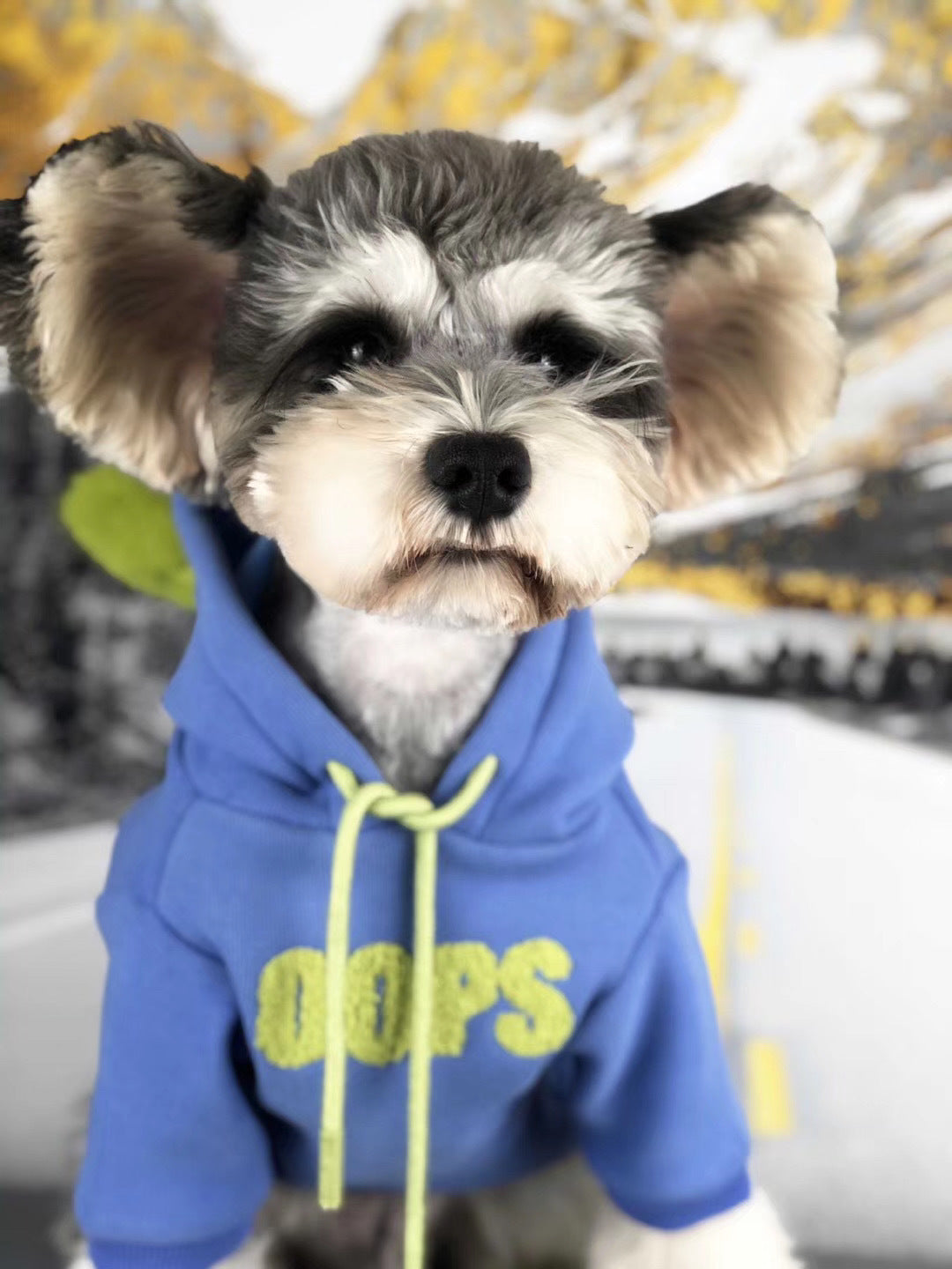 Autumn Winter Cotton Pet Sweater Soft Comfortable Outfit