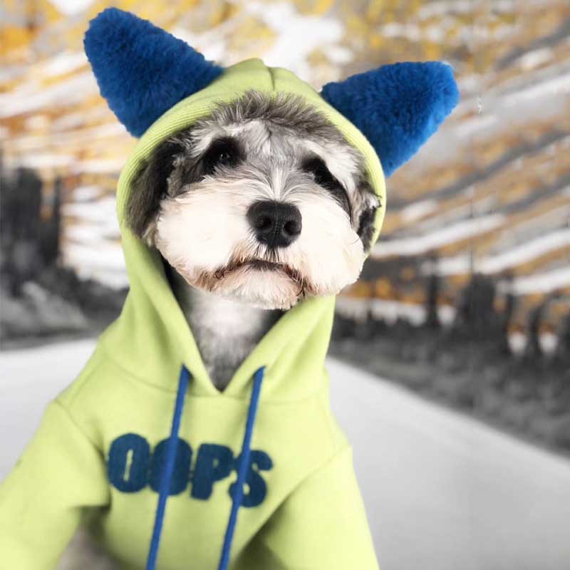 Autumn Winter Cotton Pet Sweater Soft Comfortable Outfit