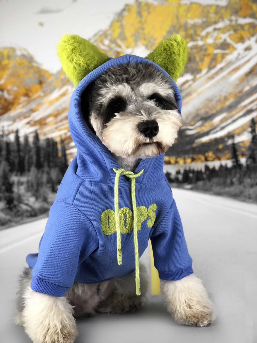 Autumn Winter Cotton Pet Sweater Soft Comfortable Outfit