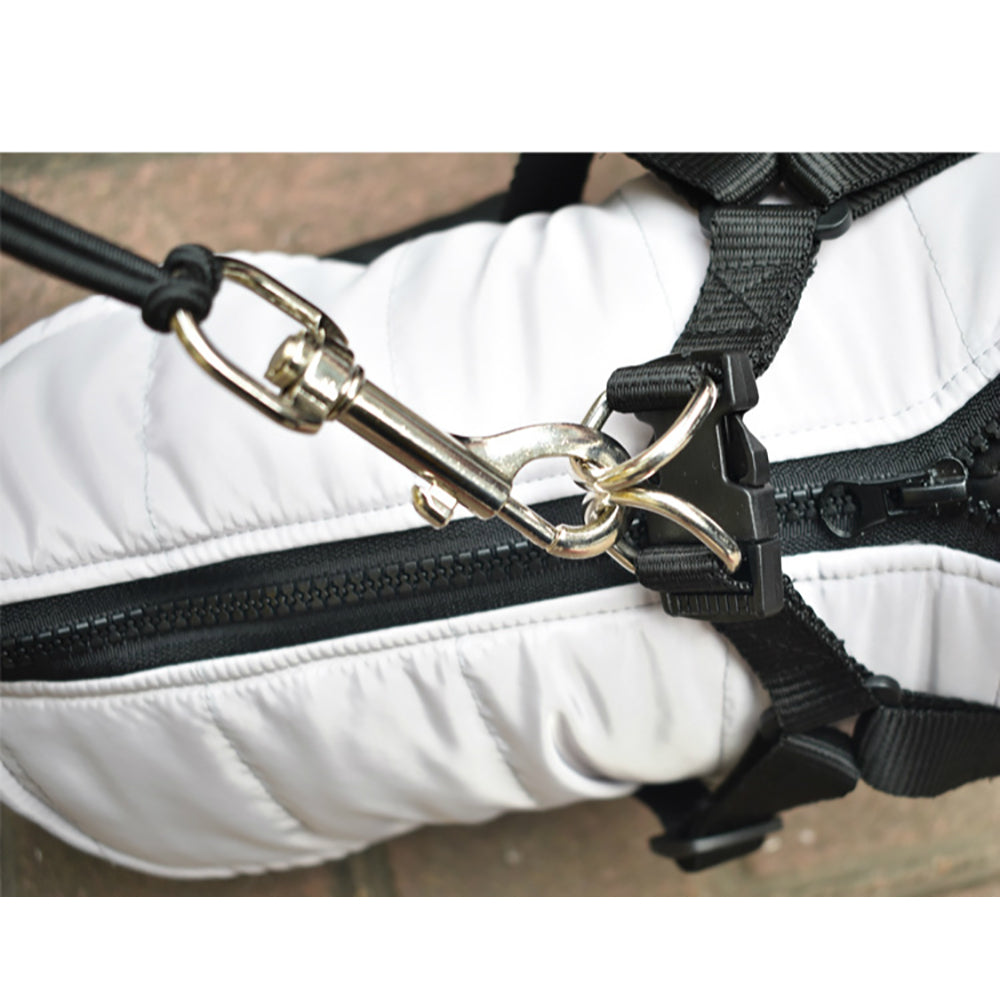 Stainless Steel Pet Bike Leash Safe Hands-Free Design