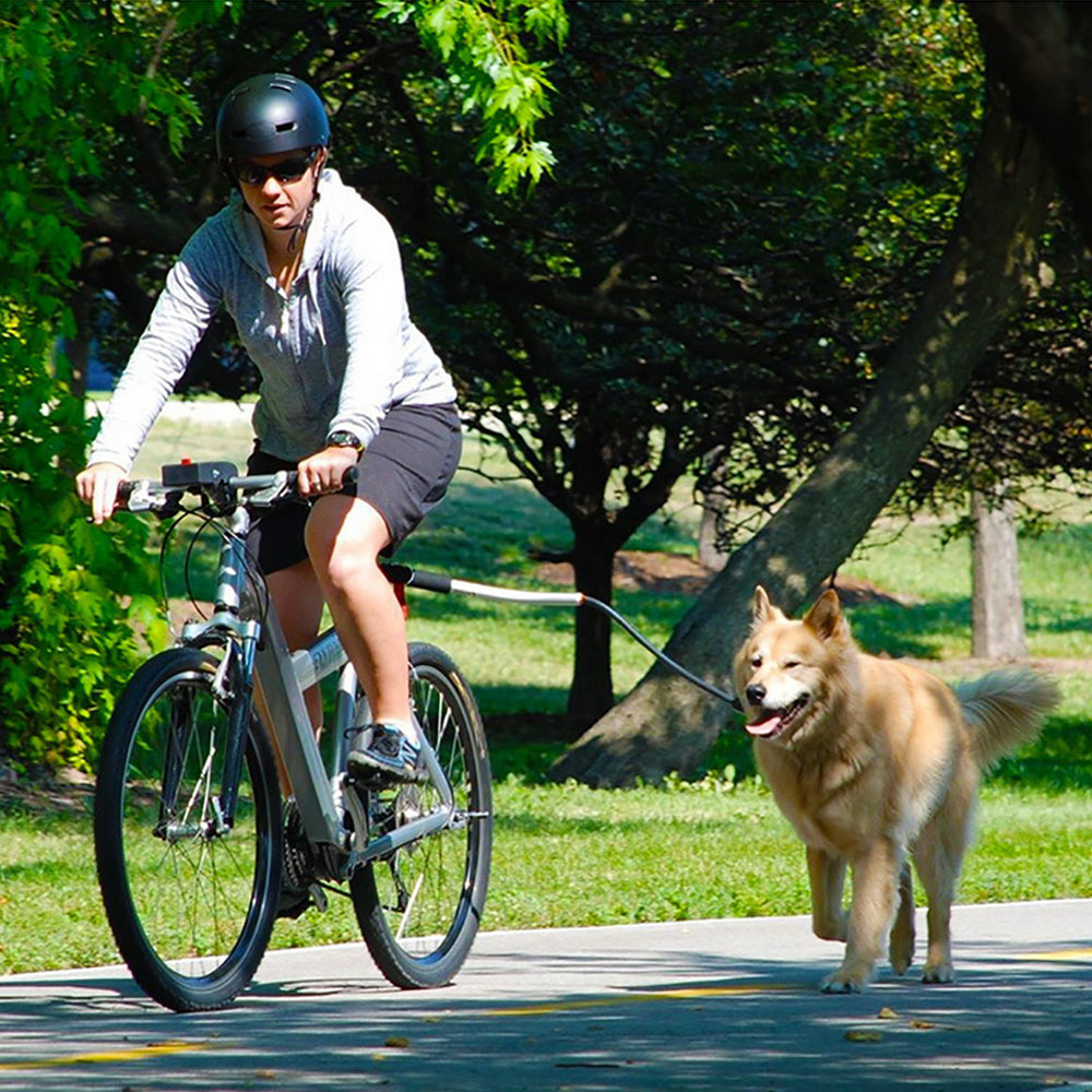 Stainless Steel Pet Bike Leash Safe Hands-Free Design
