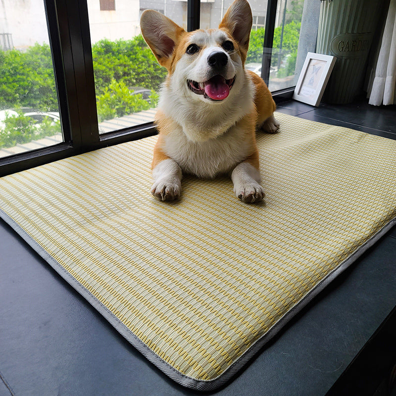 Pet Sleeping Mat Summer Anti-Bite Non-Slip Cooling Mattress