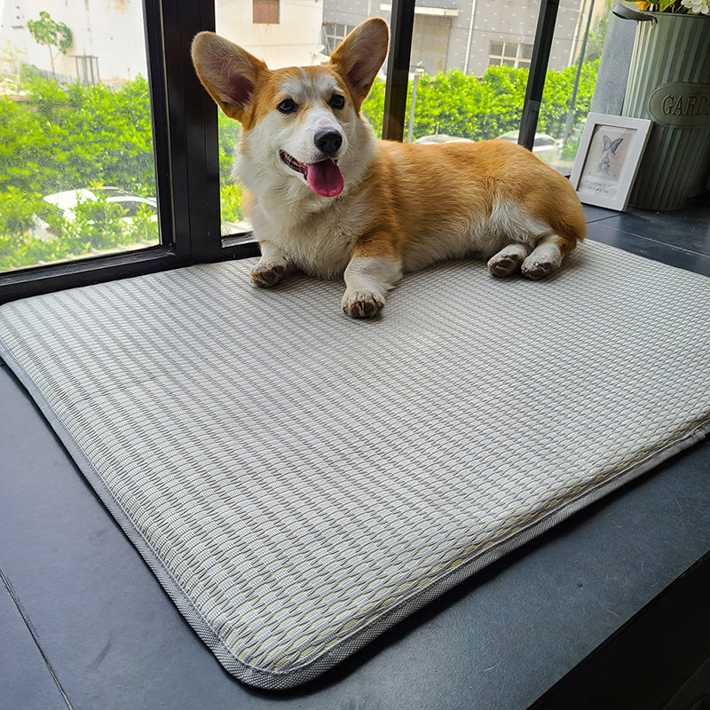 Pet Sleeping Mat Summer Anti-Bite Non-Slip Cooling Mattress