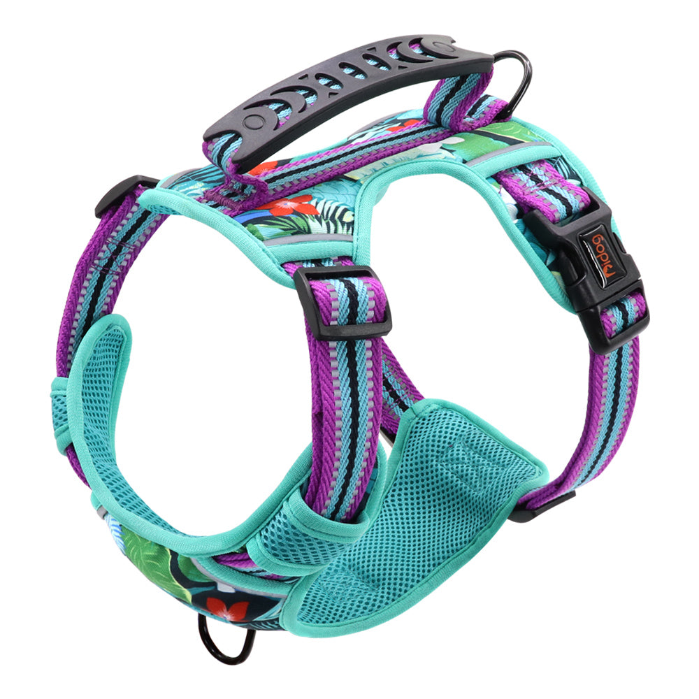 Adjustable Pet Leash With Chest Harness For All Sizes