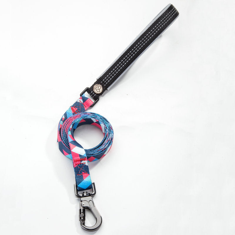 Adjustable Pet Leash And Collar Set