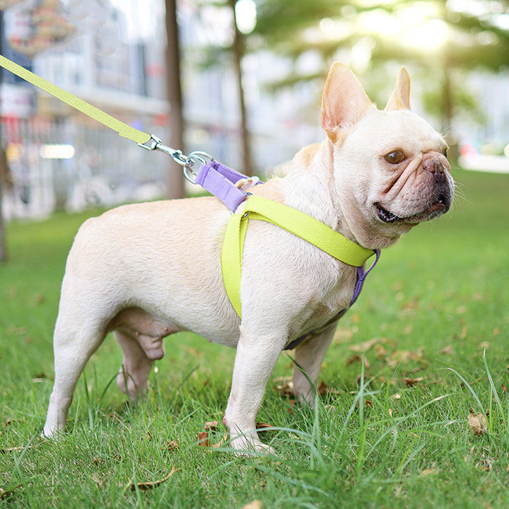 Colorful Pet Drawstring Vest Harness With Adjustable Leash
