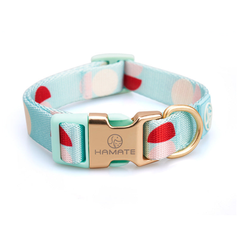 Fashion Y-Shaped Pet Chest Strap Harness With Leash
