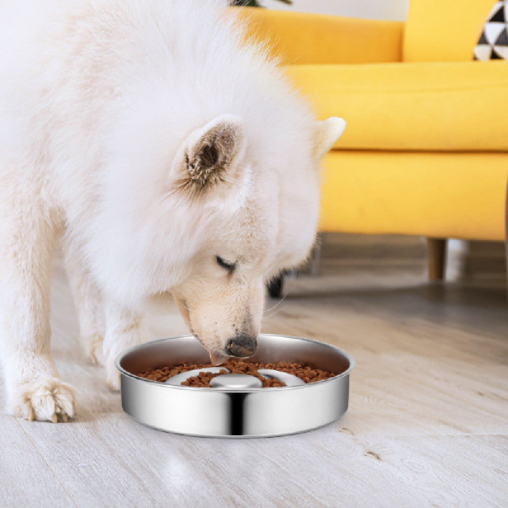 Pet Slow Feeding Bowl With Stainless Steel Neck Protection Guard