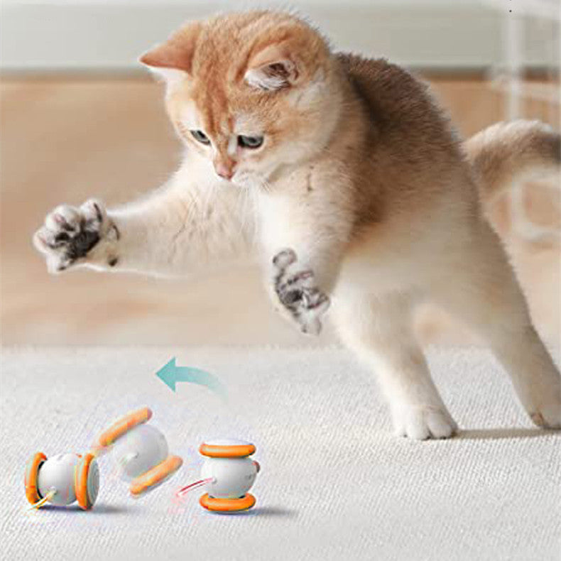 Electric Intelligent Rechargeable Pet Teasing Toy For Playtime