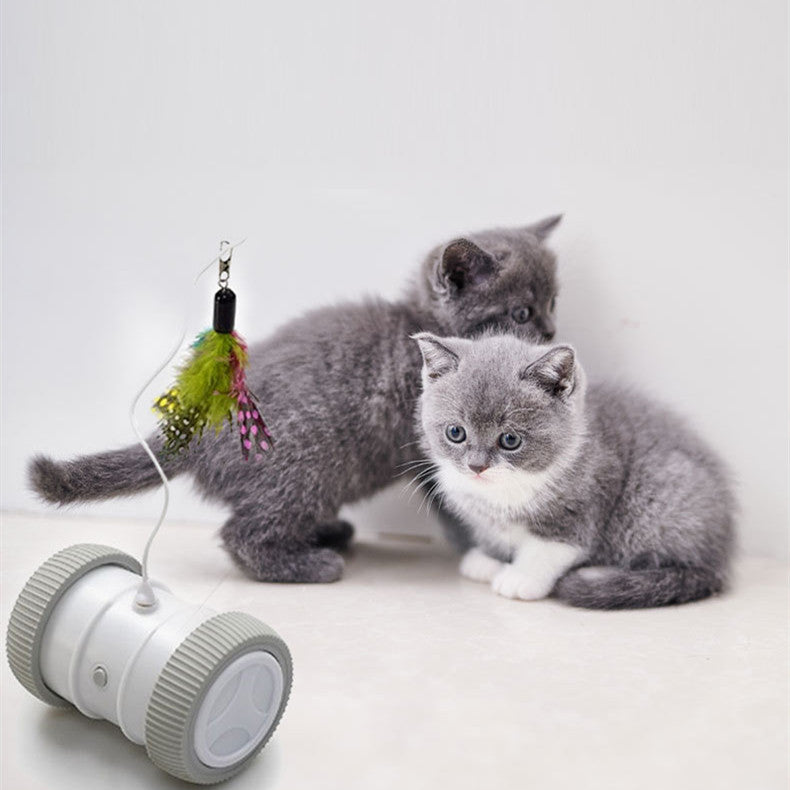 Automatic Multifunctional Electric Pet Roller Toy For Interactive Fun
