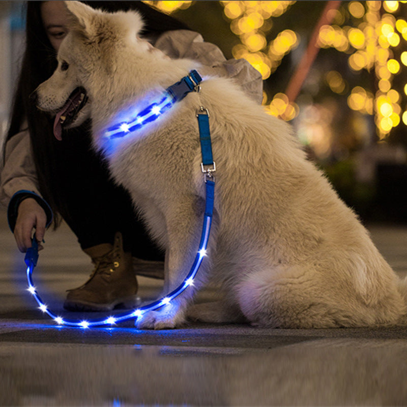 LED USB Rechargeable Luminous Pet Leash Safe Night Walking