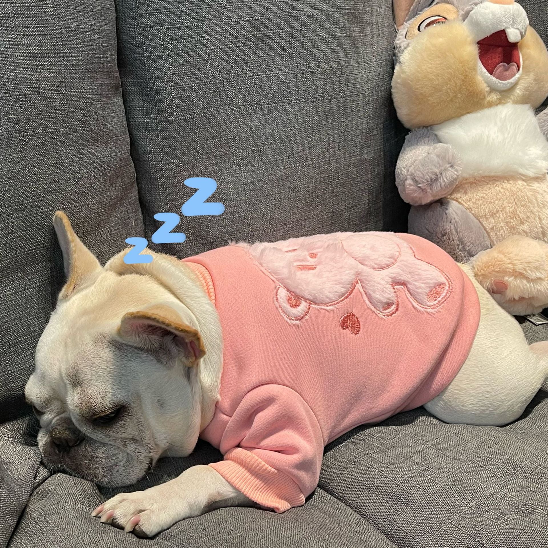Plush Princess Pet Sweater Soft Comfortable Clothing For Pets