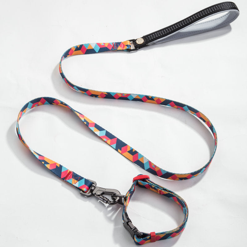 Adjustable Pet Leash And Collar Set