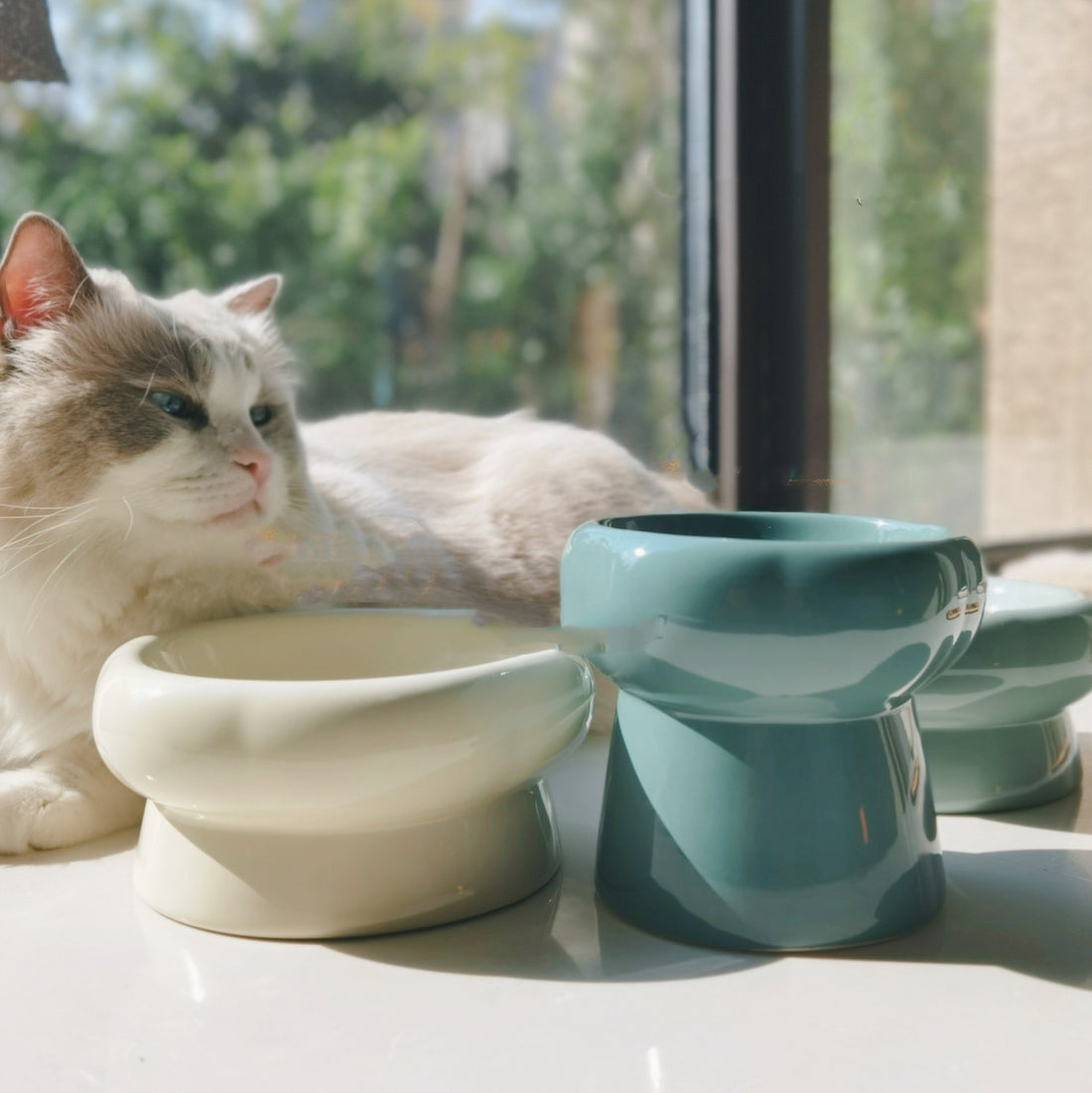 Simple Pet Ceramic Bowl Petal-Shaped Design