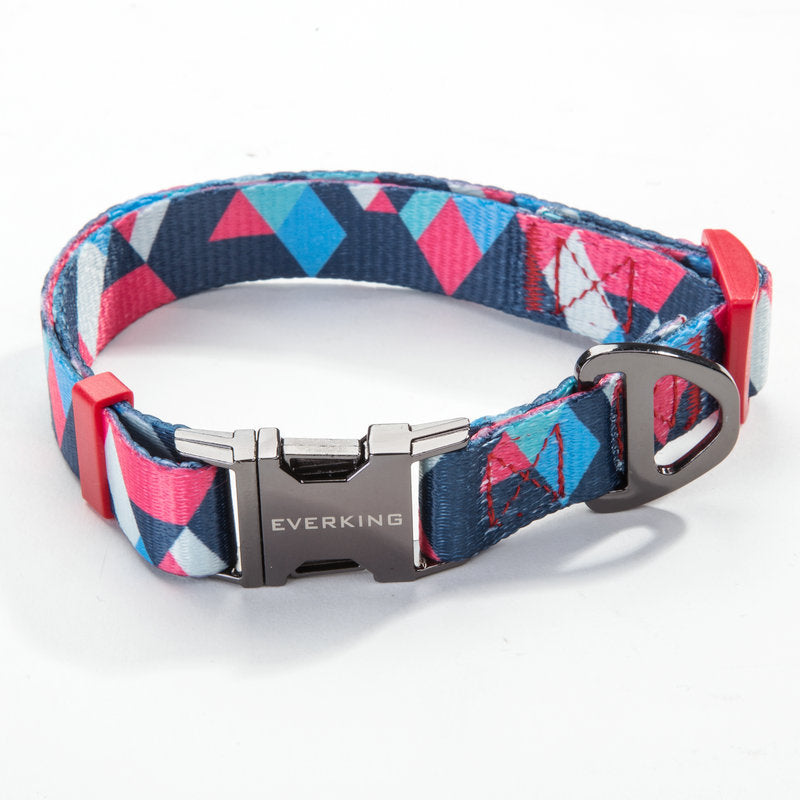 Adjustable Pet Leash And Collar Set