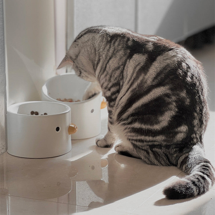 Ceramic Slanted Tall Pet Bowl Comfortable Drinking Design