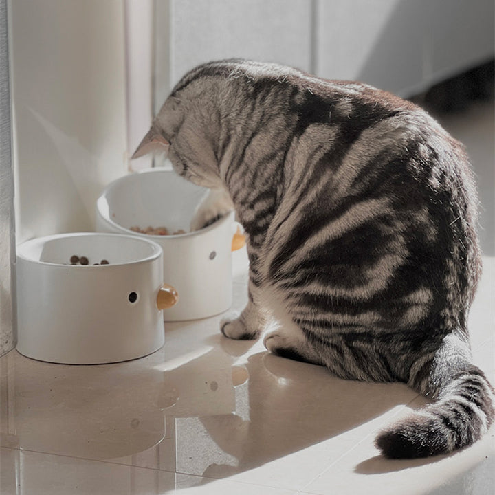 Ceramic Slanted Tall Pet Bowl Comfortable Drinking Design