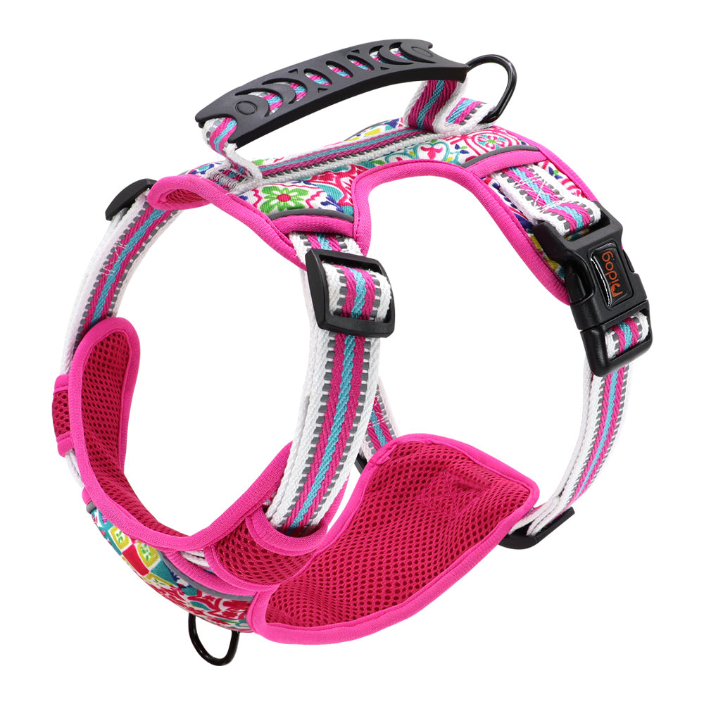 Adjustable Pet Leash With Chest Harness For All Sizes