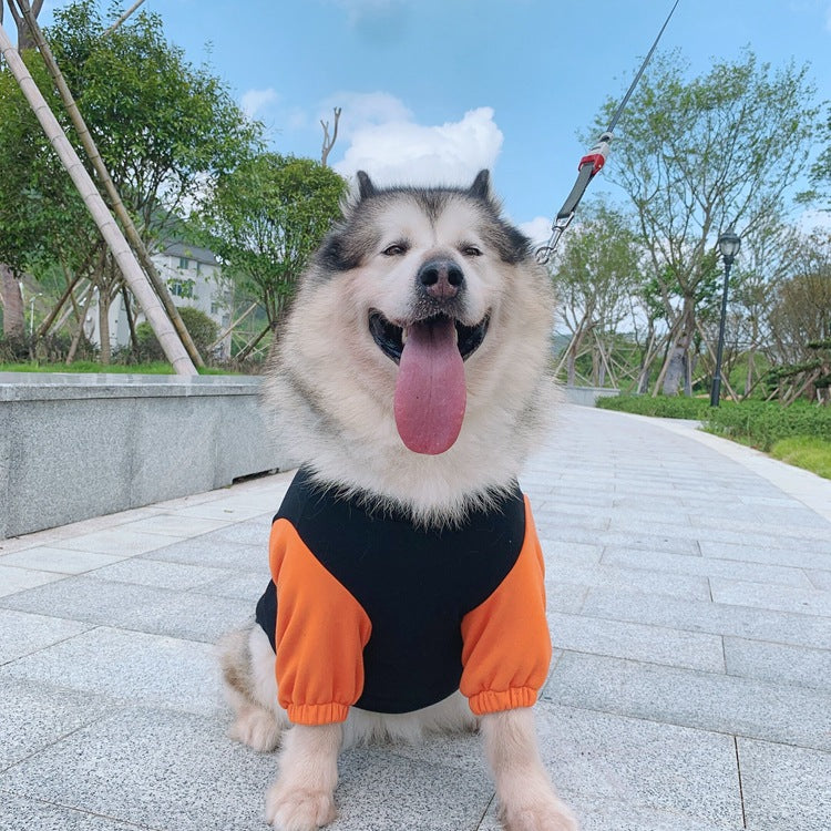 Pet Fashion Matching Parent-Child Sweater Outfit Without Hat