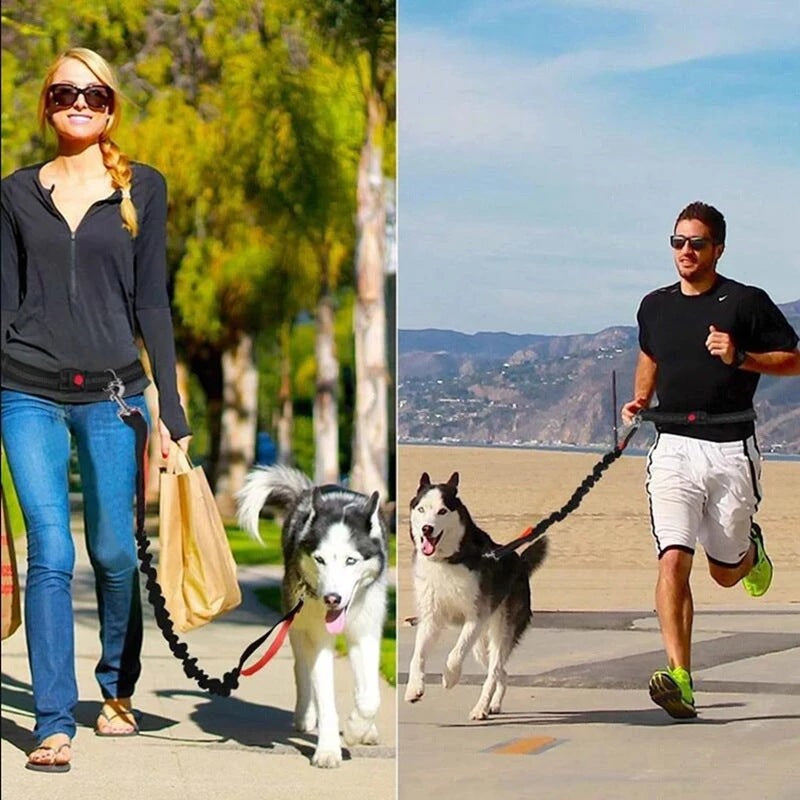 Adjustable Pet Harness And Jogging Leash Set