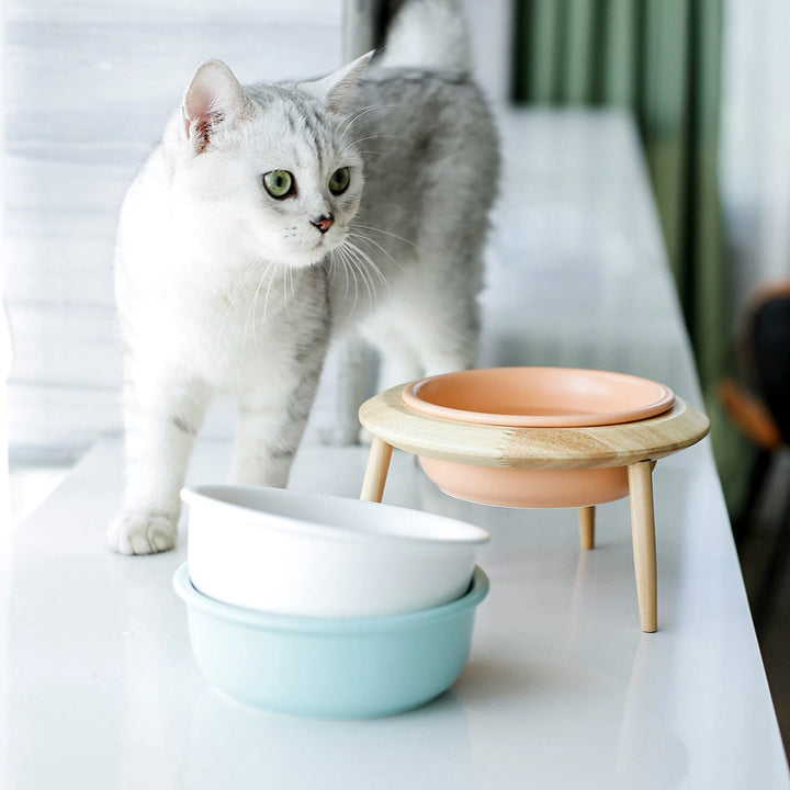 Ceramic Pet Bowl Durable Food And Water Dish