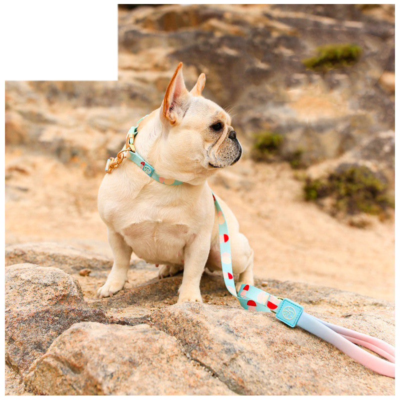 Fashion Y-Shaped Pet Chest Strap Harness With Leash